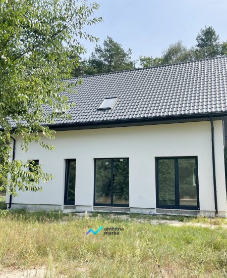dom-arciechow-salon-bok-scaled.jpg